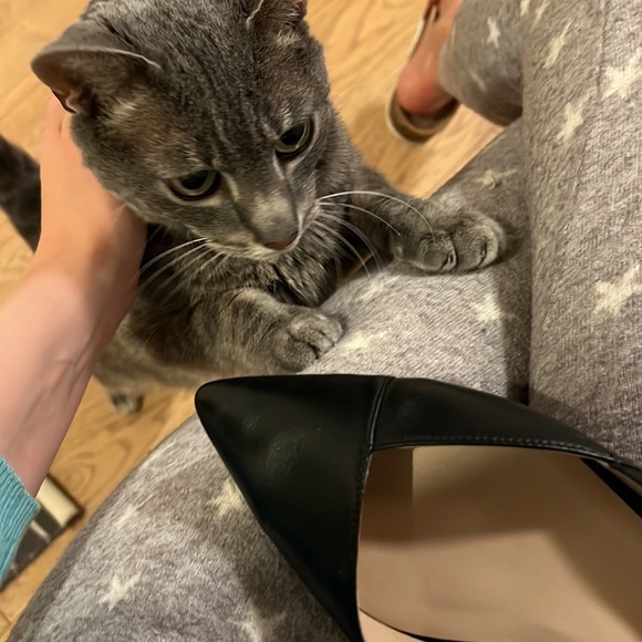 27 Edit Nauralizer pointed pointy flats - Karla - Picture 4 of 5